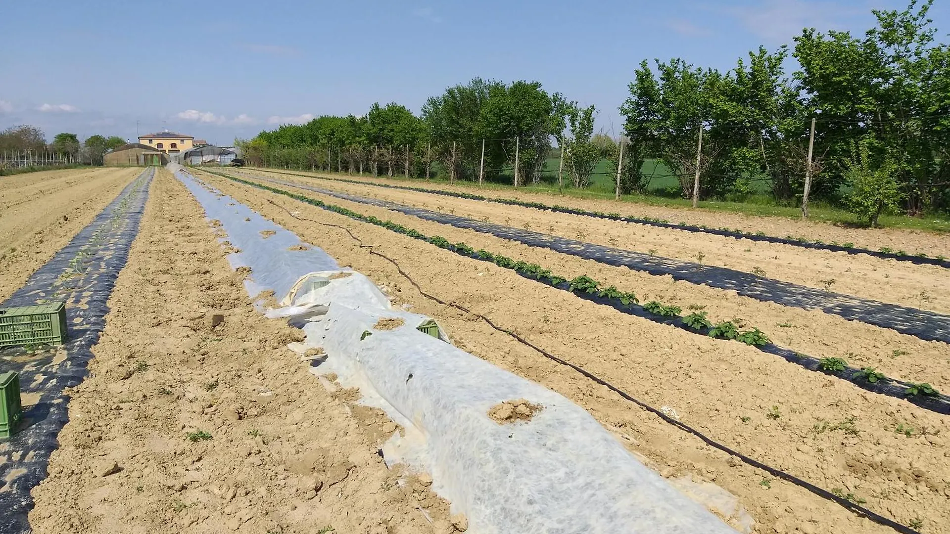 Agriturismo Il Melograno Tessera Alojamento de Turismo Rural